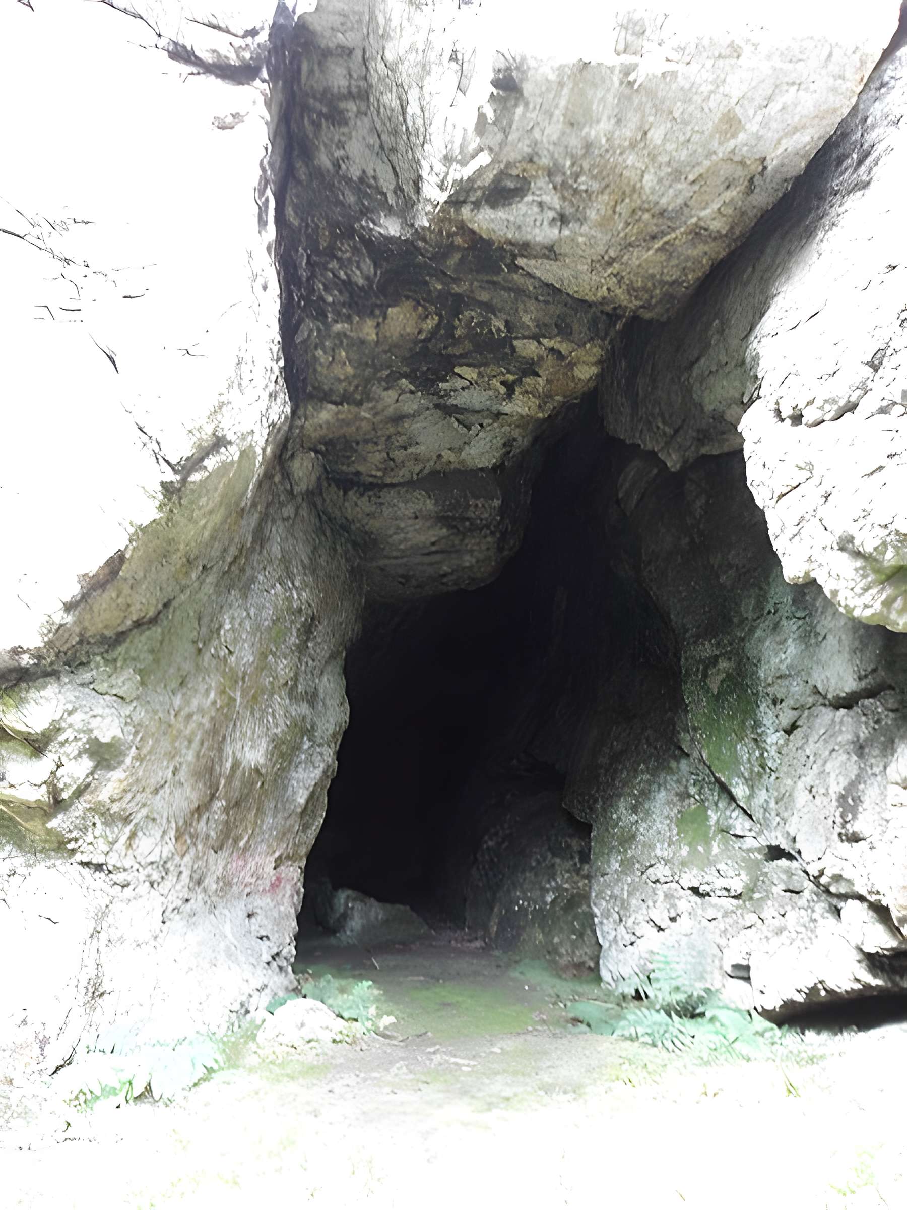 Grotte et rocher de Roc'h-Toul à Guiclan