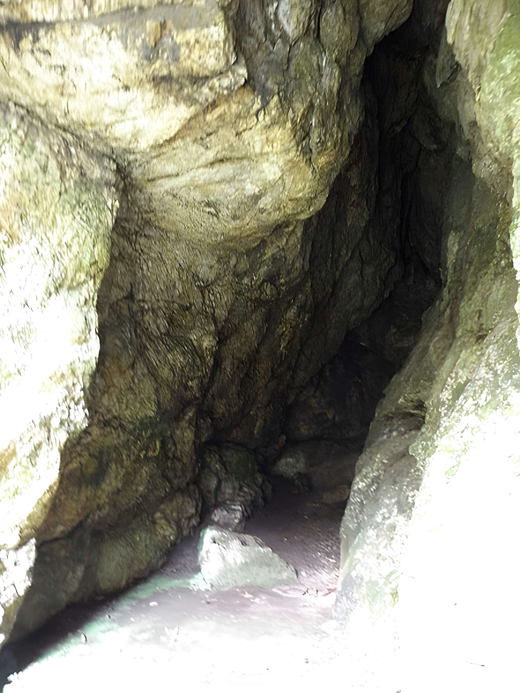 Grotte et rocher de Roc'h-Toul à Guiclan