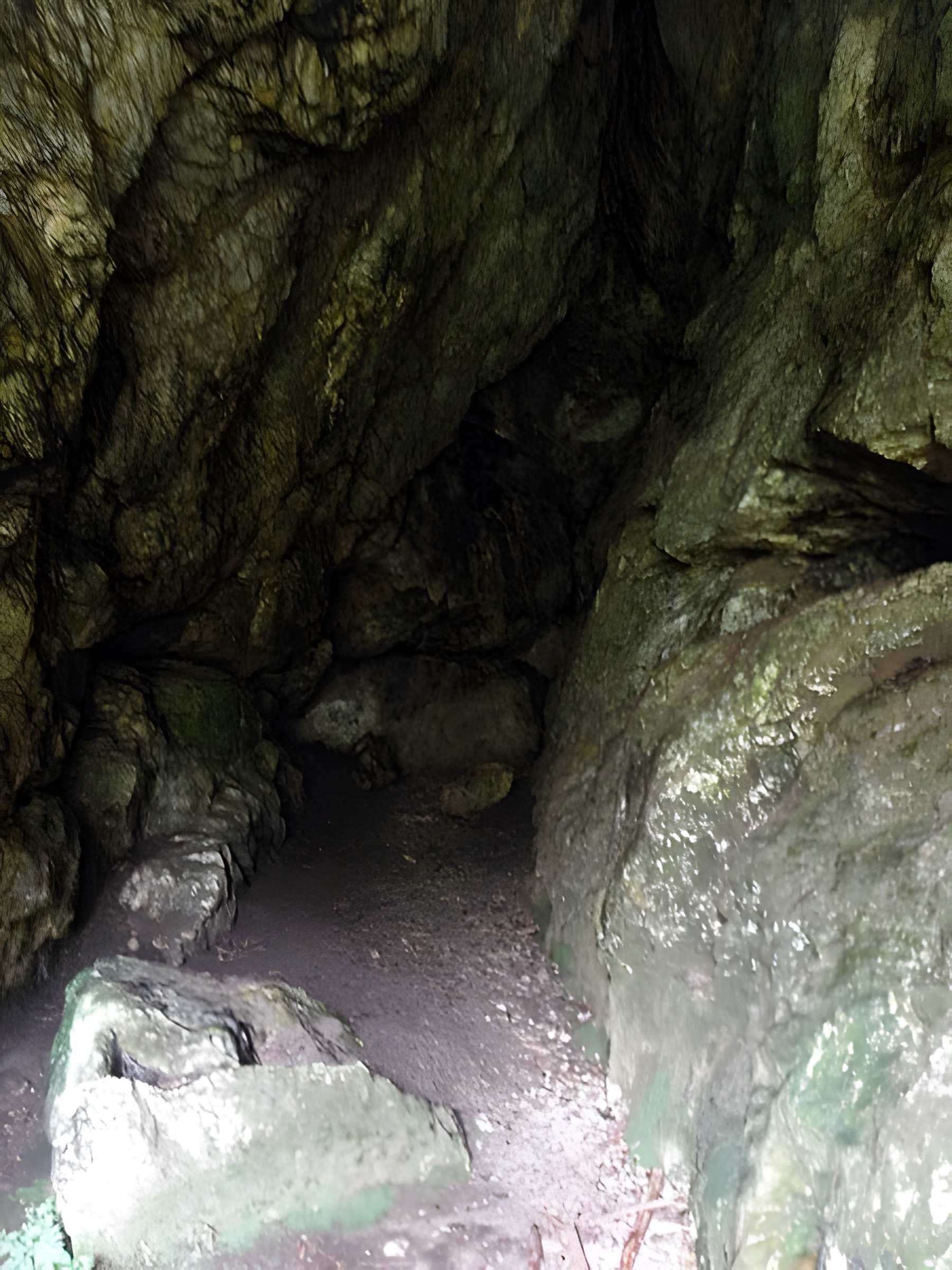Grotte et rocher de Roc'h-Toul à Guiclan