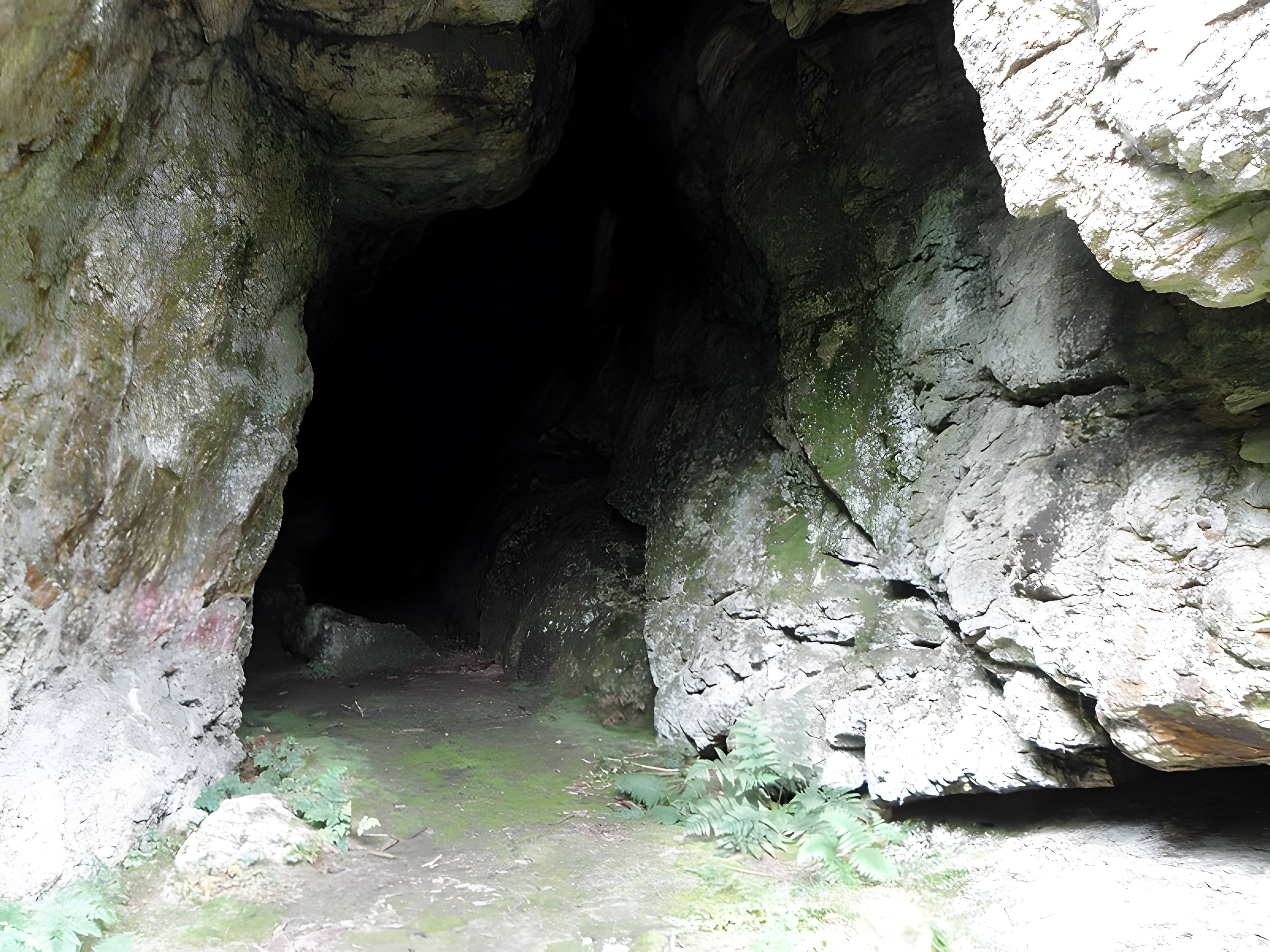 Grotte et rocher de Roc'h-Toul à Guiclan