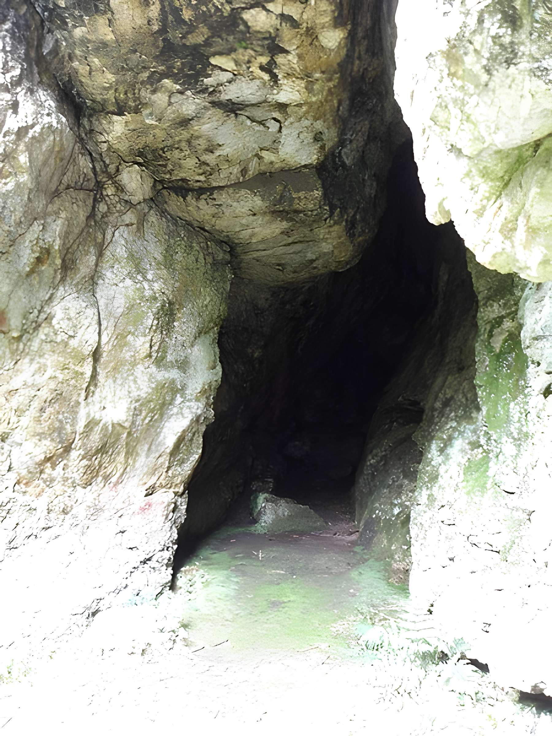Grotte et rocher de Roc'h-Toul à Guiclan