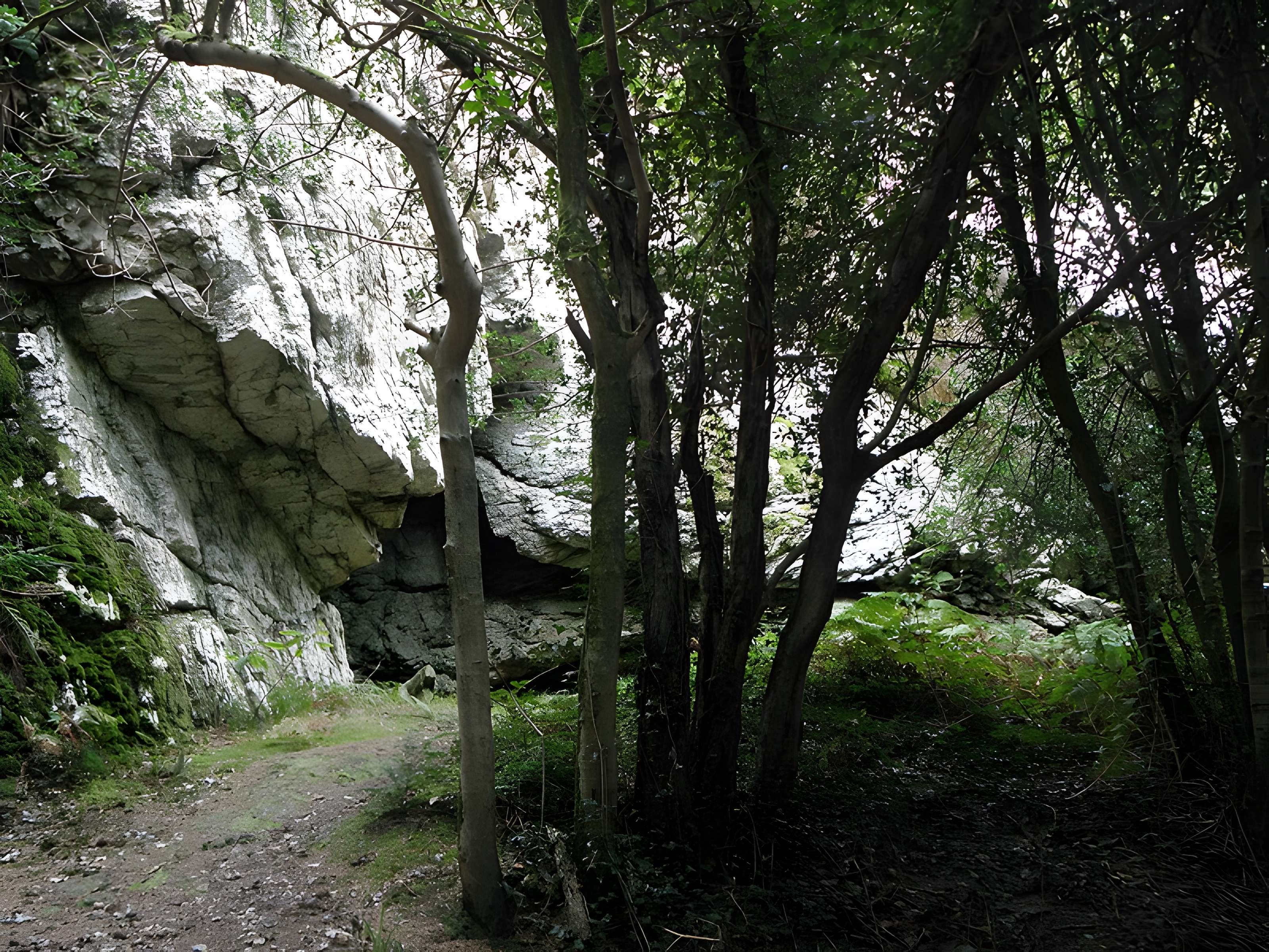Grotte et rocher de Roc'h-Toul à Guiclan