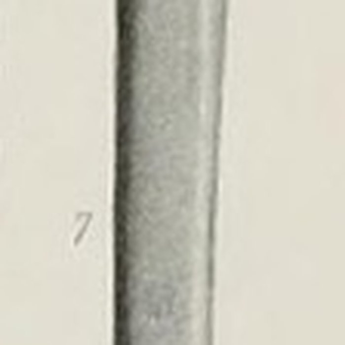 Photo de Grotte ornée paléolithique du Rocher de Ker à Massat