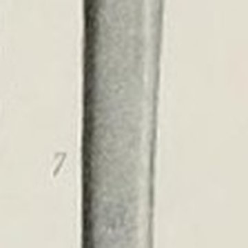 Grotte ornée paléolithique du Rocher de Ker à Massat