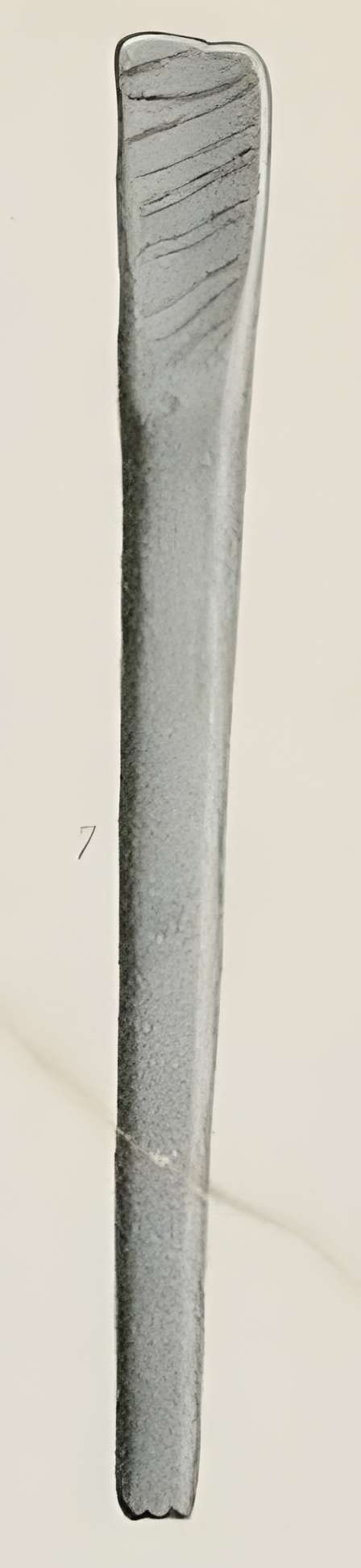 Grotte ornée paléolithique du Rocher de Ker à Massat