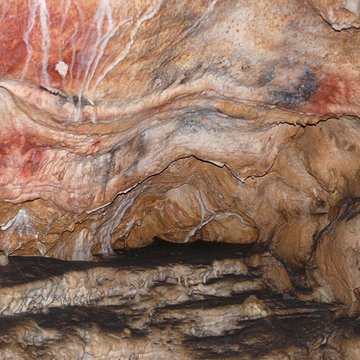 Grottes de Gargas à Aventignan