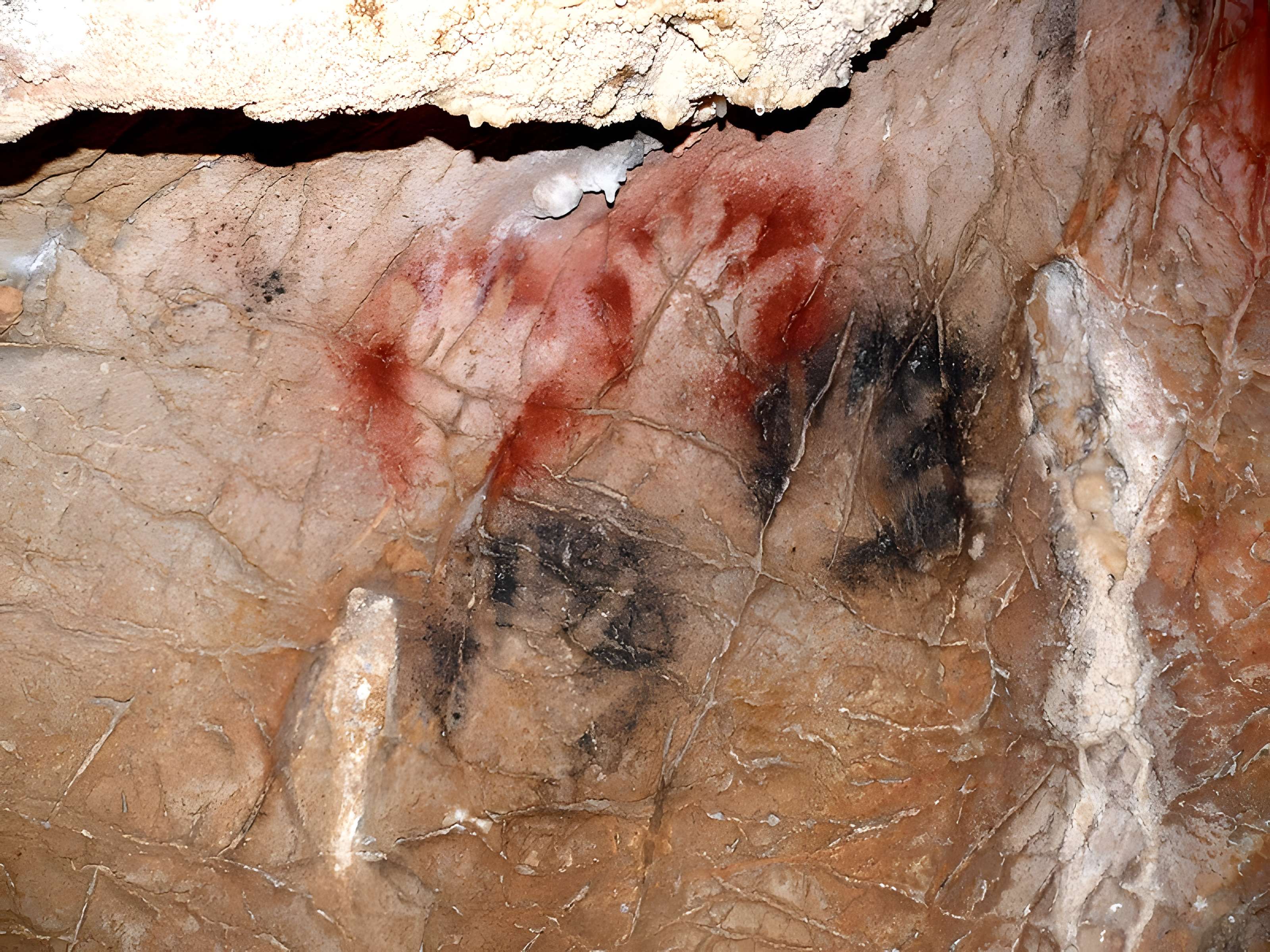 Grottes de Gargas à Aventignan