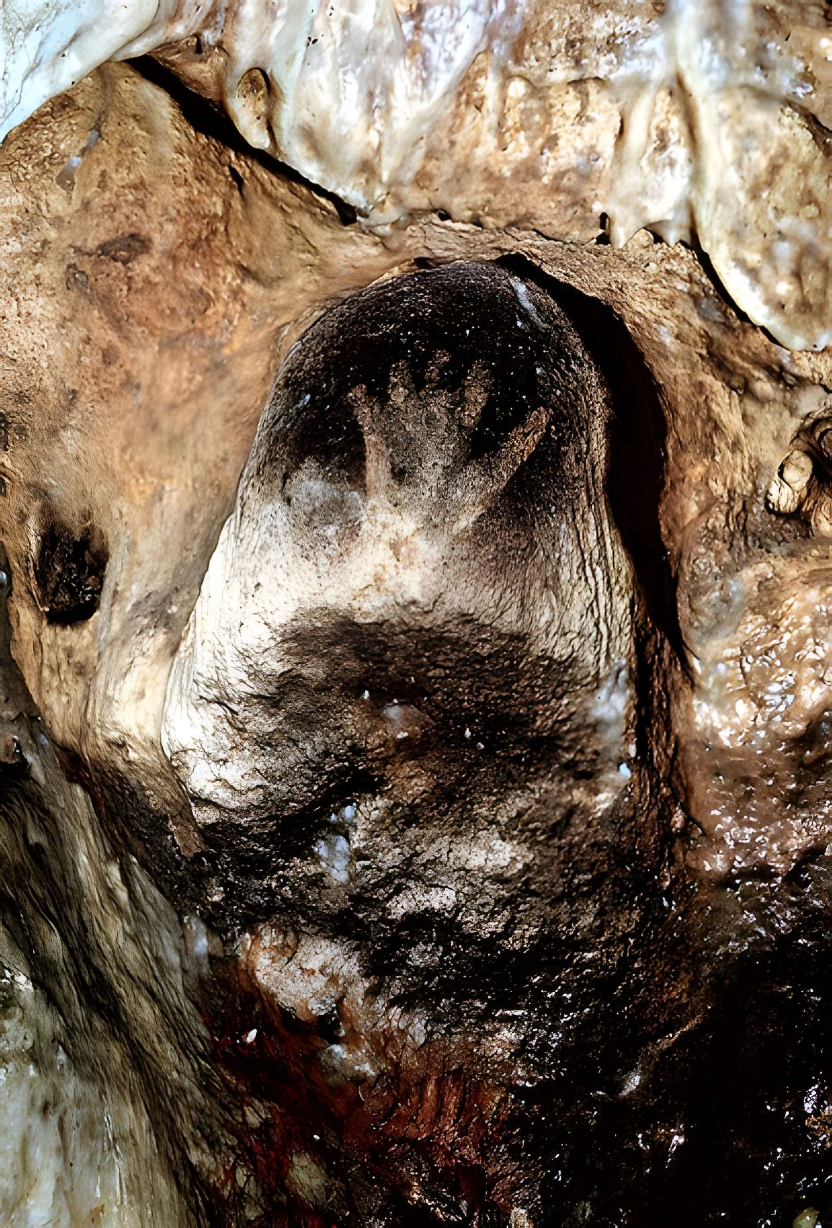 Grottes de Gargas à Aventignan