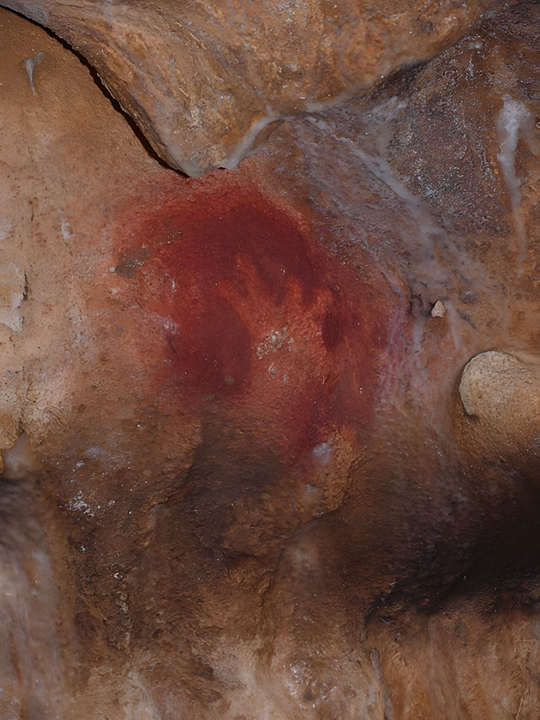Grottes de Gargas à Aventignan