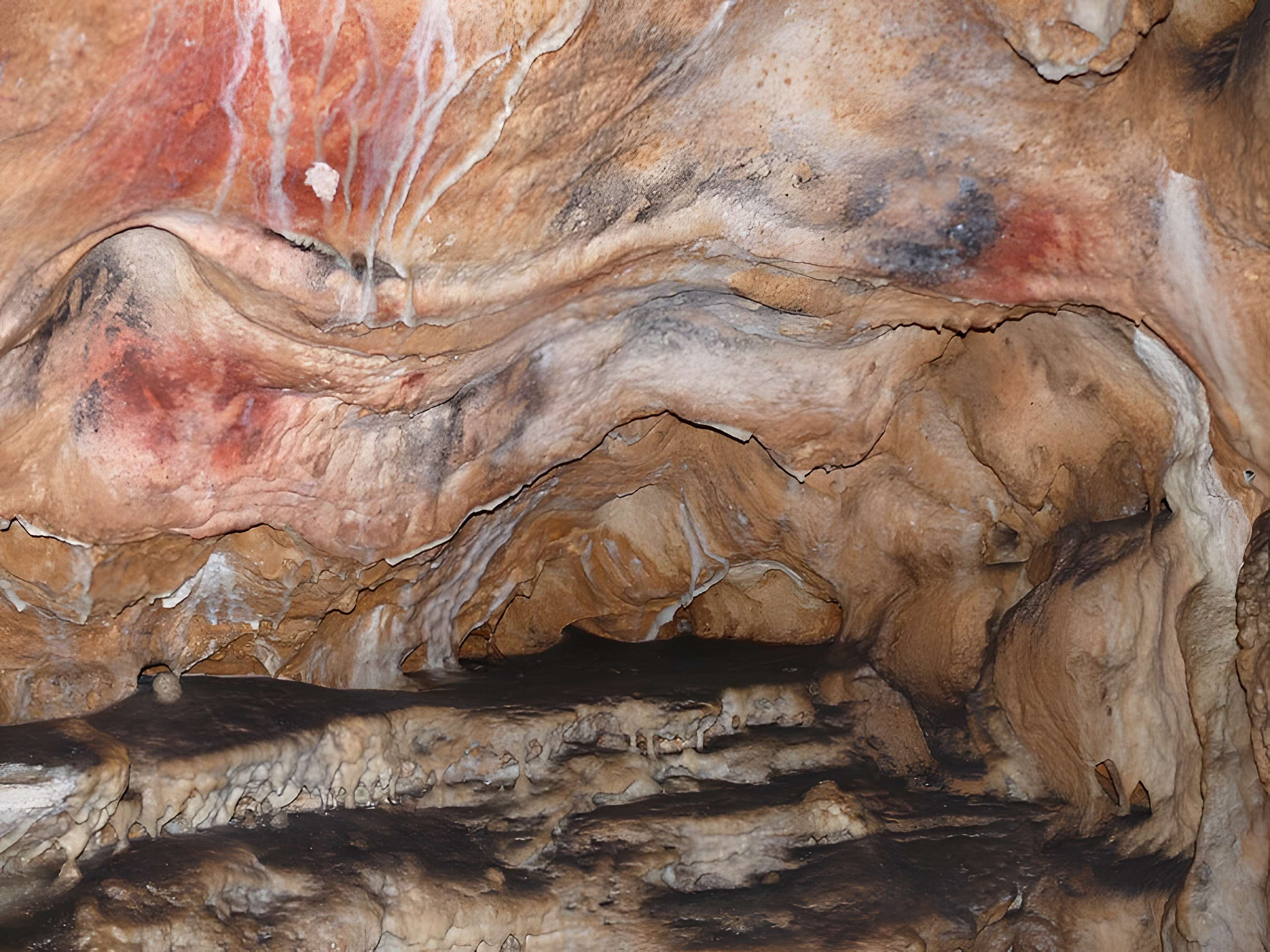 Grottes de Gargas à Aventignan