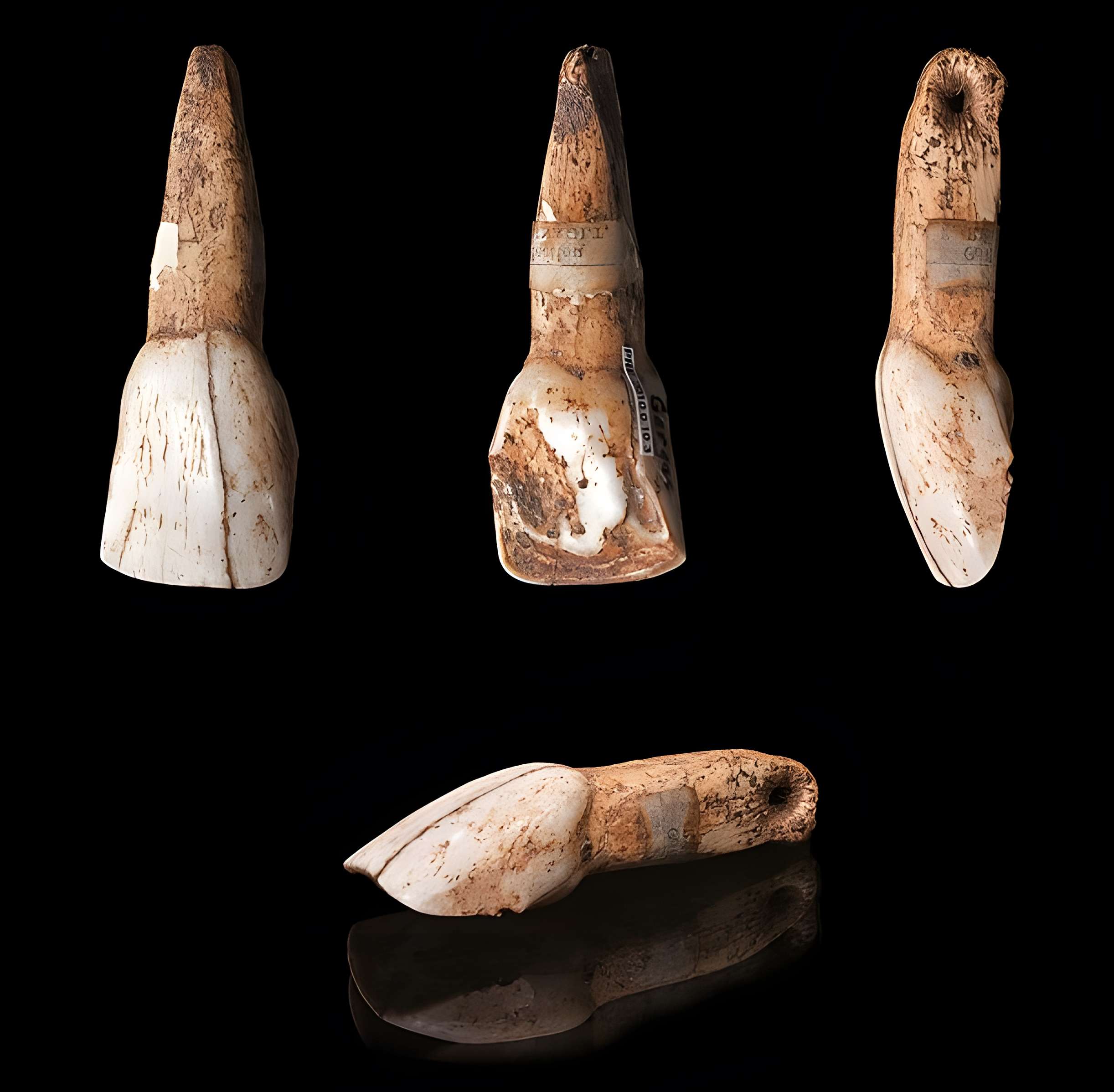 Grottes de Gargas à Aventignan