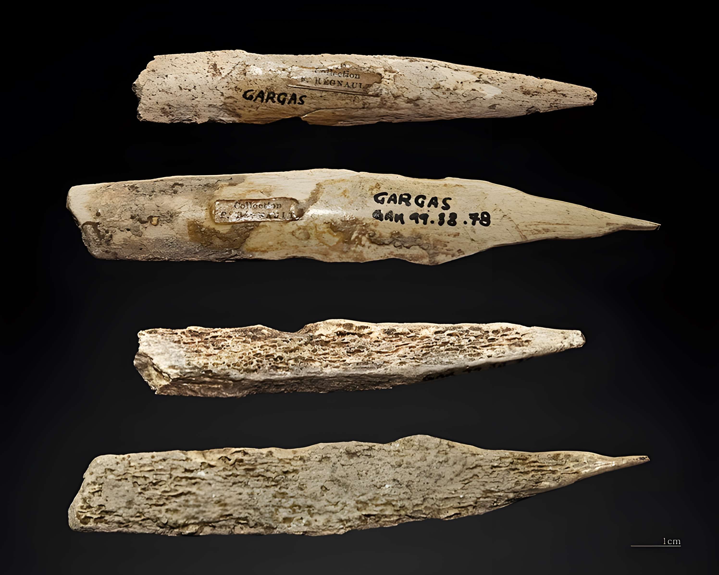 Grottes de Gargas à Aventignan