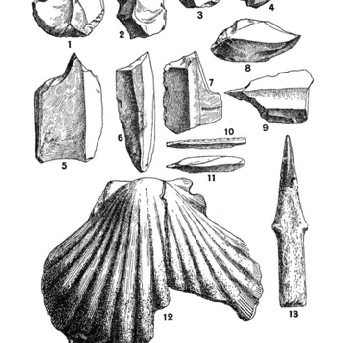 Photo de Grottes de la vallée de la Save à Lespugue