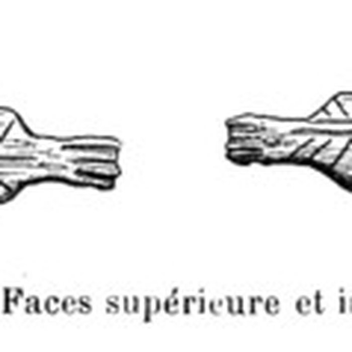 Photo de Grottes de la vallée de la Save à Lespugue