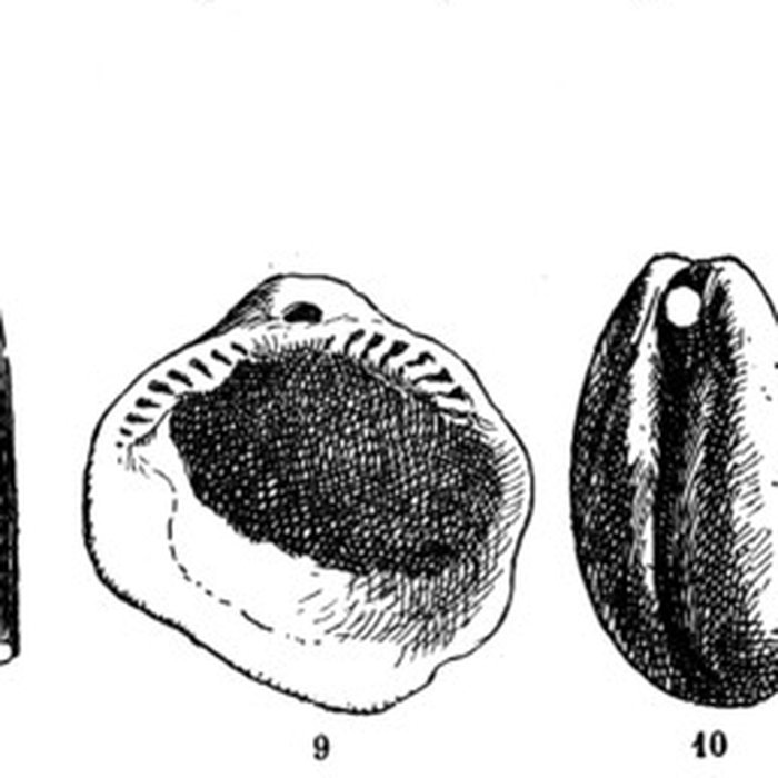 Photo de Grottes de la vallée de la Save à Lespugue