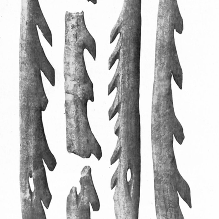 Photo de Grottes de la vallée de la Save à Lespugue