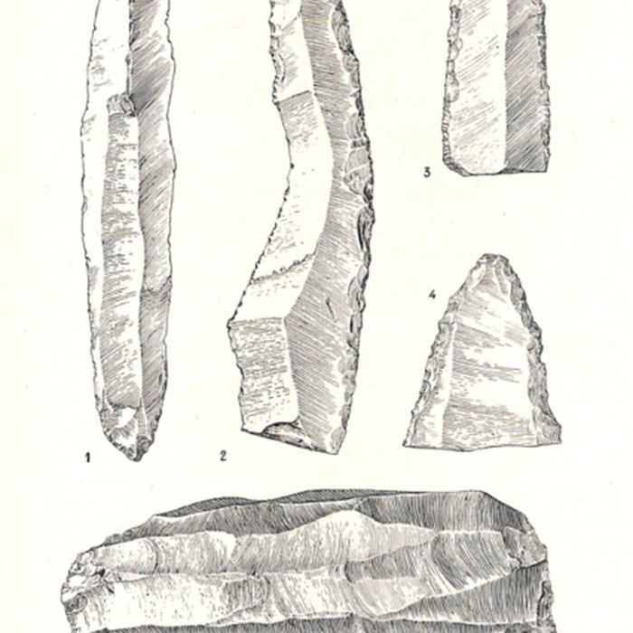 Photo de Grottes de la vallée de la Save à Lespugue