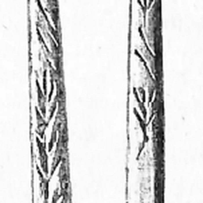 Photo de Grottes de la vallée de la Save à Lespugue