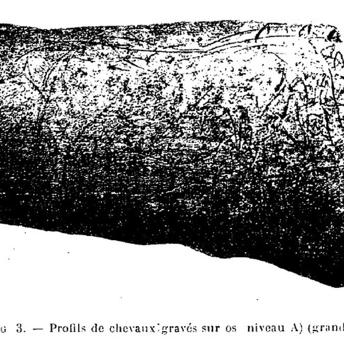 Photo de Grottes de la vallée de la Save à Lespugue