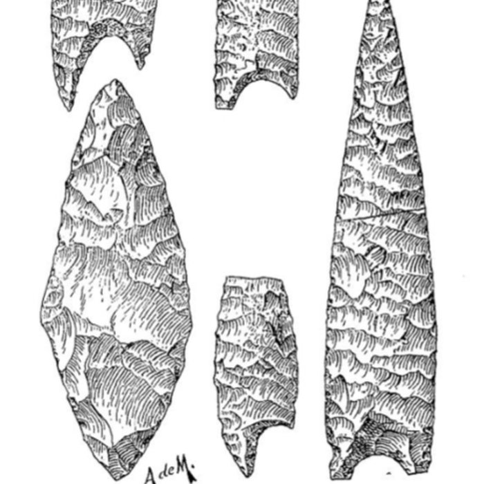 Photo de Grottes de la vallée de la Save à Lespugue