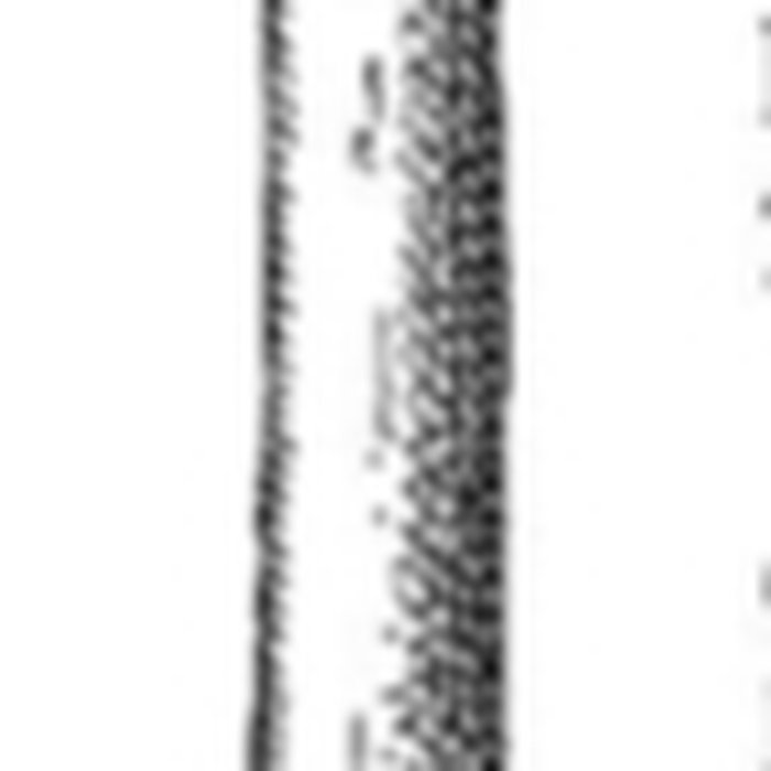 Photo de Grottes de la vallée de la Save à Lespugue