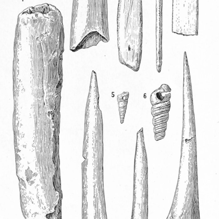 Photo de Grottes de la vallée de la Save à Lespugue