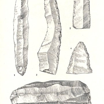 Grottes de la vallée de la Save à Lespugue