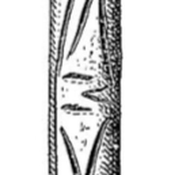 Grottes de la vallée de la Save à Lespugue