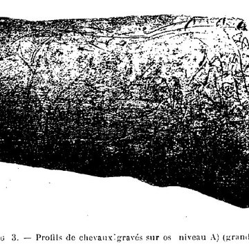 Grottes de la vallée de la Save à Lespugue