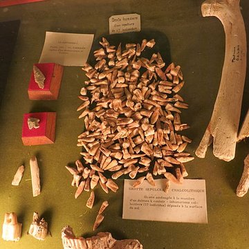 Grottes de la vallée de la Save à Lespugue