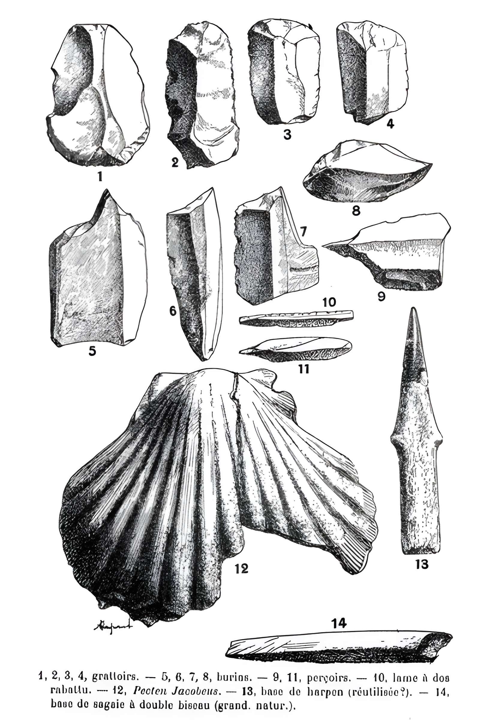 Grottes de la vallée de la Save à Lespugue