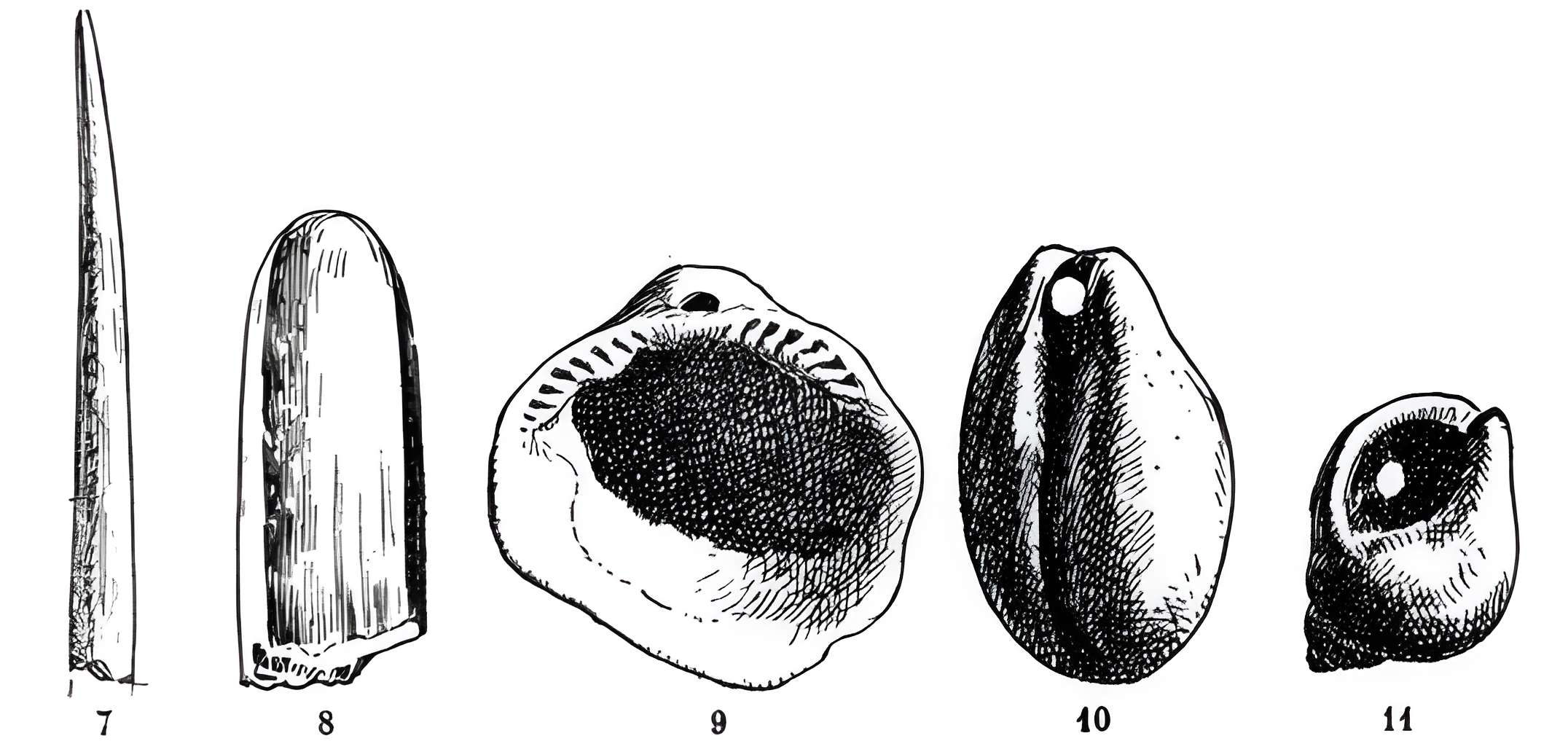 Grottes de la vallée de la Save à Lespugue