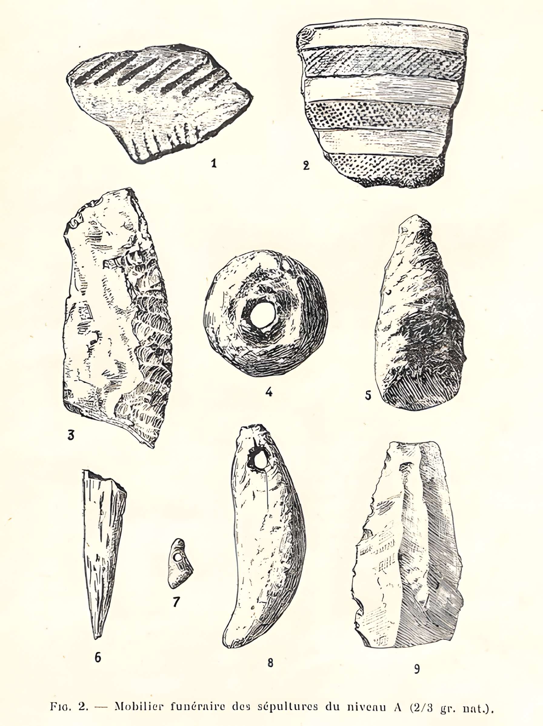 Grottes de la vallée de la Save à Lespugue