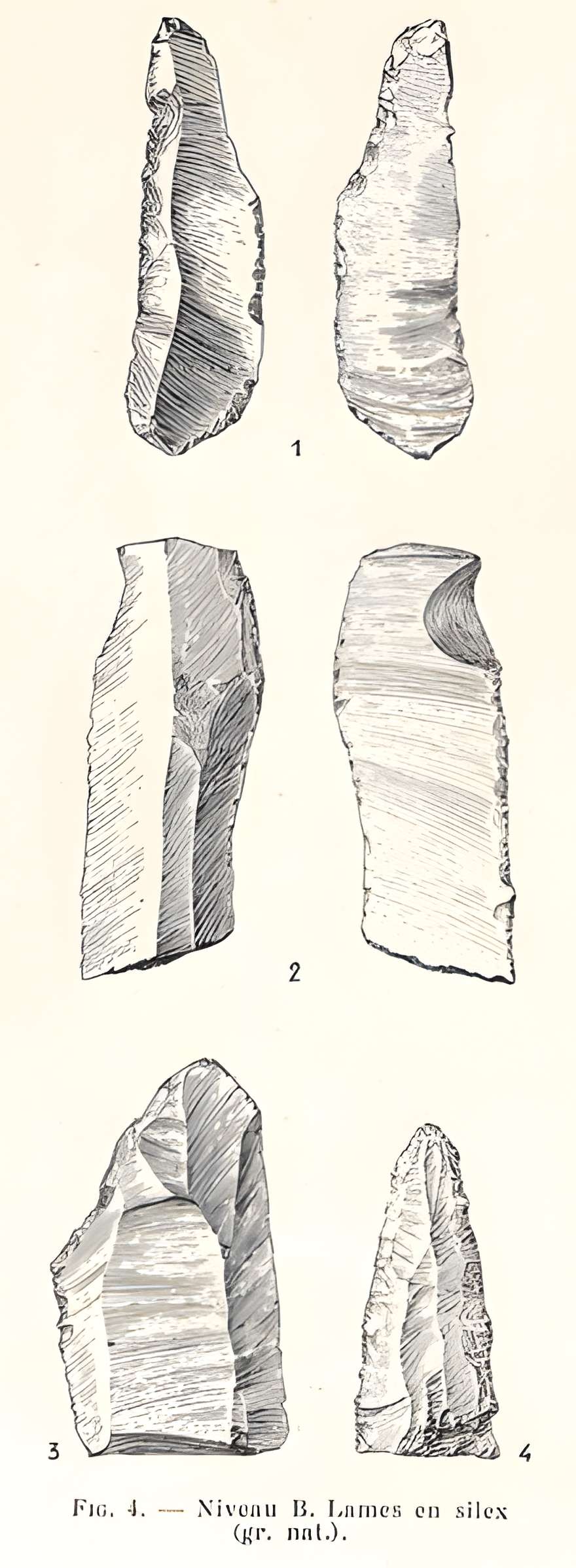 Grottes de la vallée de la Save à Lespugue