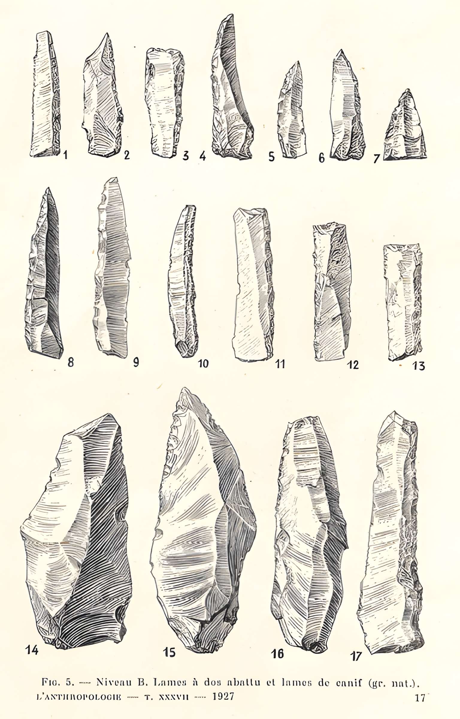 Grottes de la vallée de la Save à Lespugue