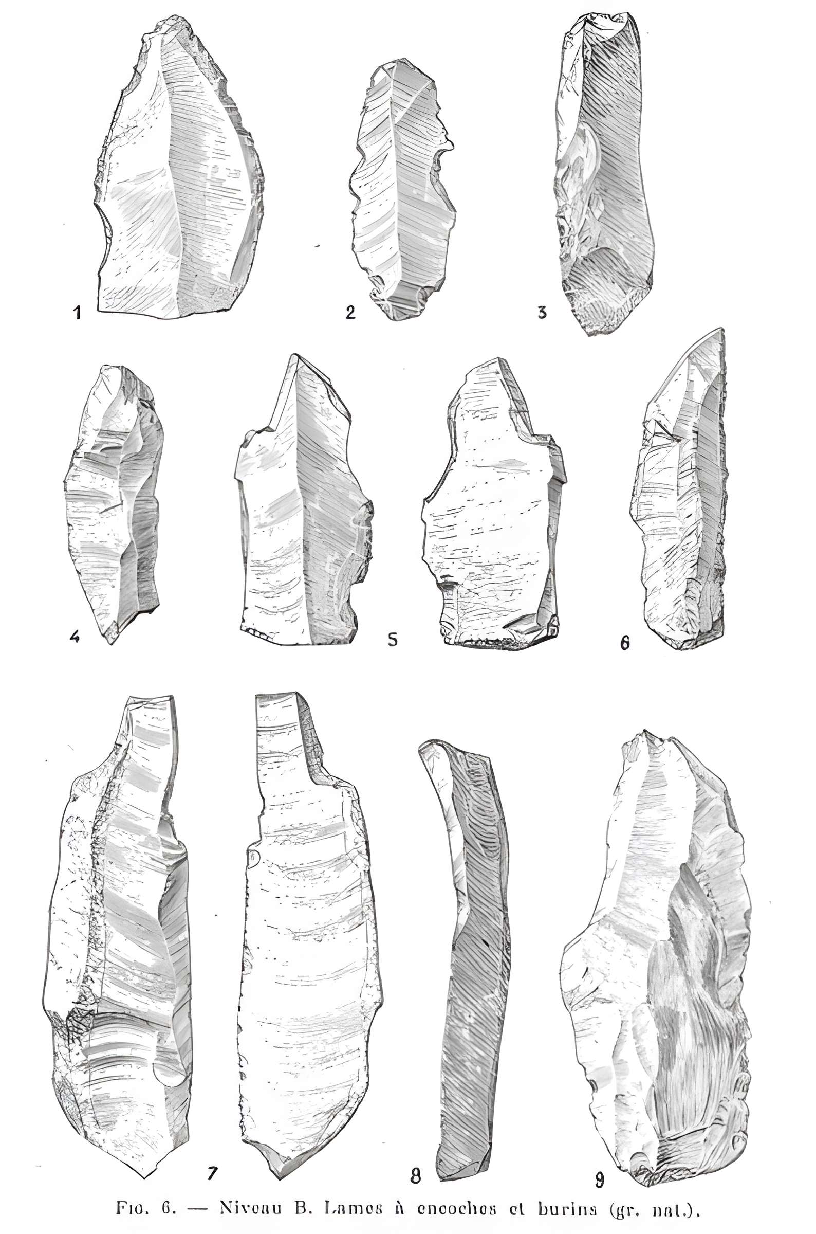 Grottes de la vallée de la Save à Lespugue