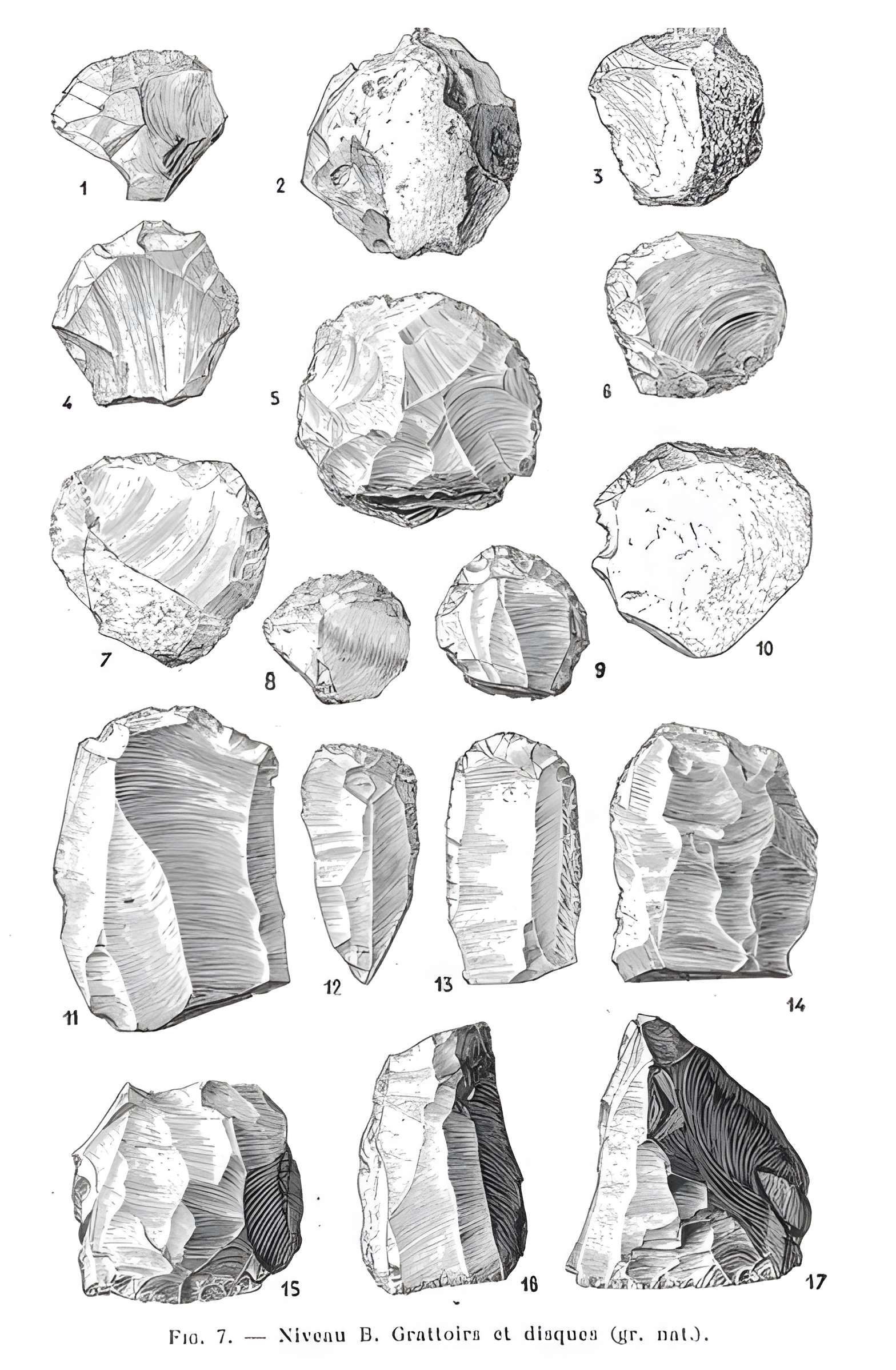 Grottes de la vallée de la Save à Lespugue