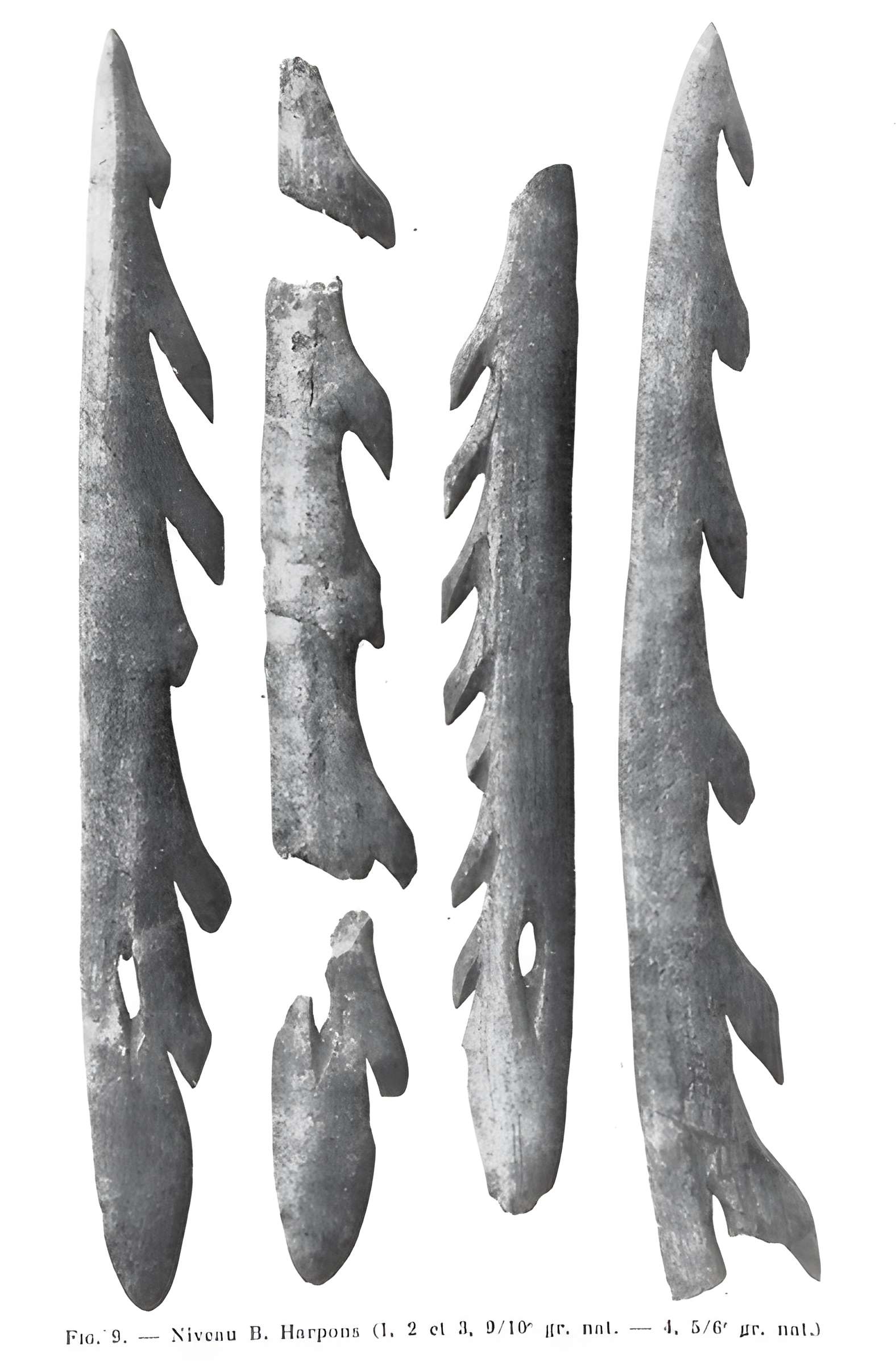 Grottes de la vallée de la Save à Lespugue