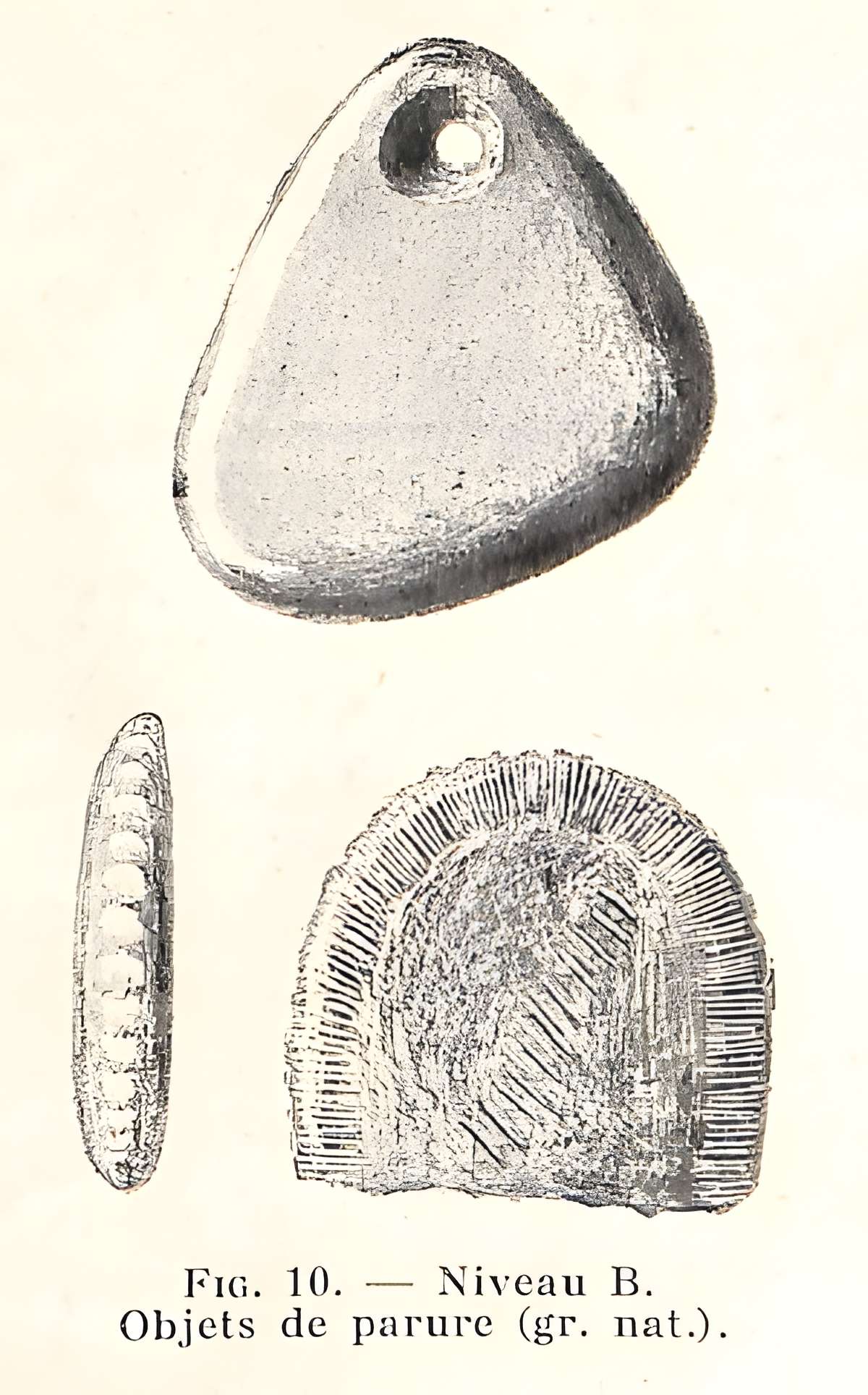 Grottes de la vallée de la Save à Lespugue