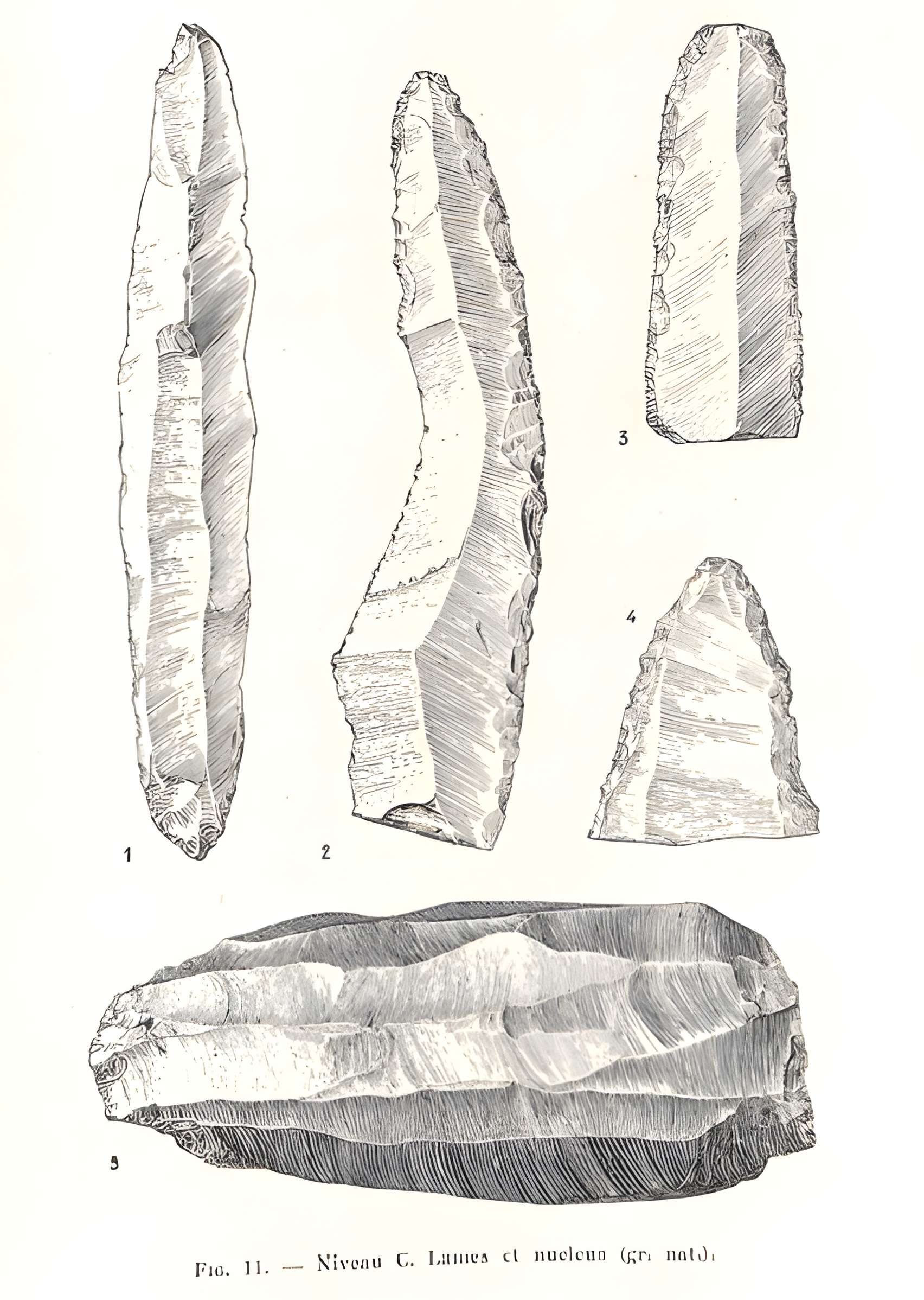 Grottes de la vallée de la Save à Lespugue