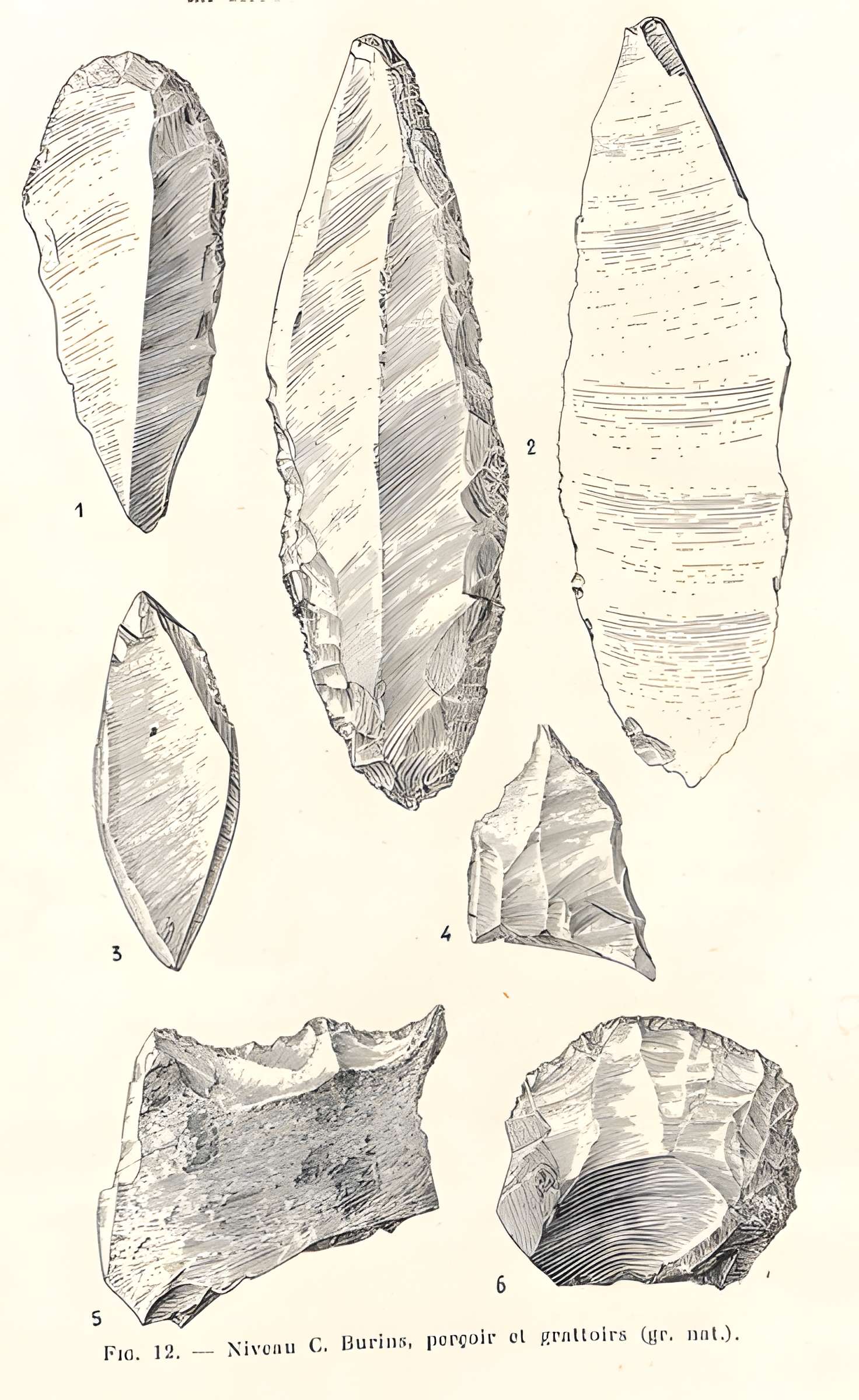 Grottes de la vallée de la Save à Lespugue