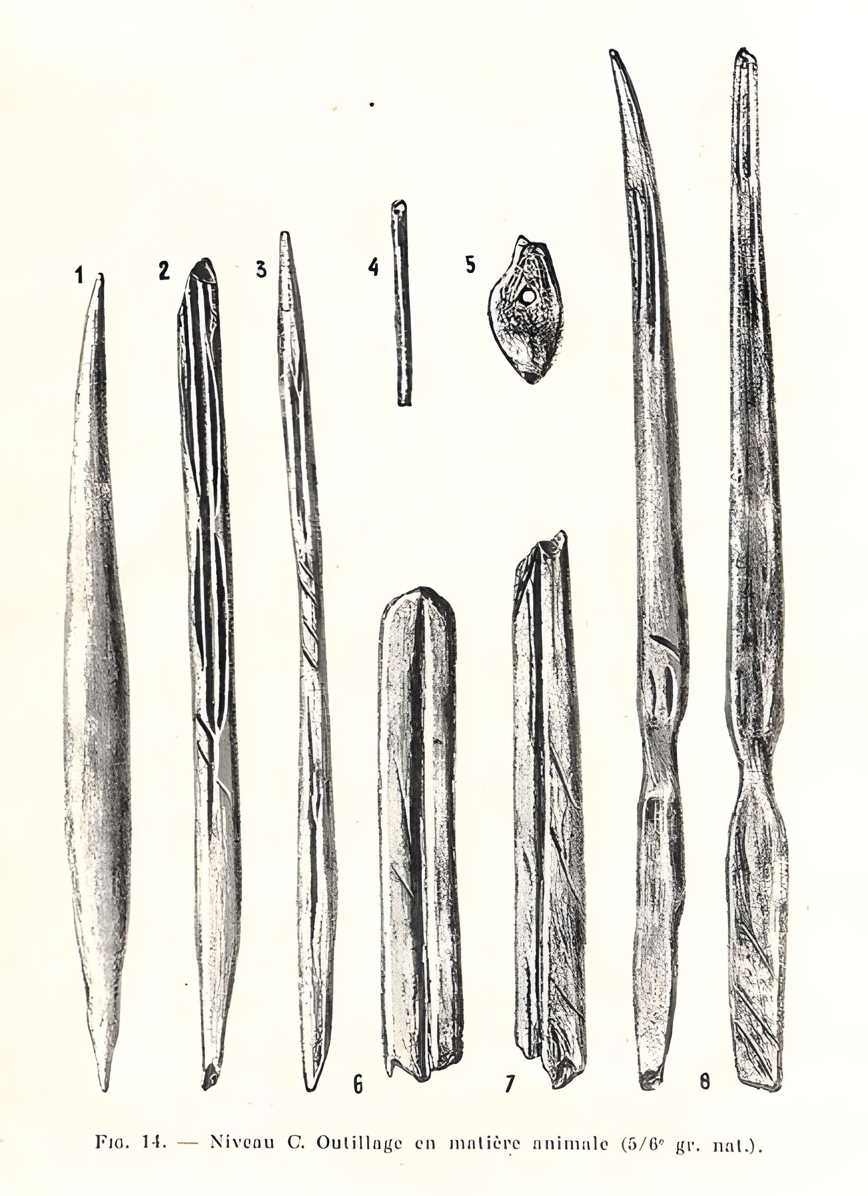 Grottes de la vallée de la Save à Lespugue