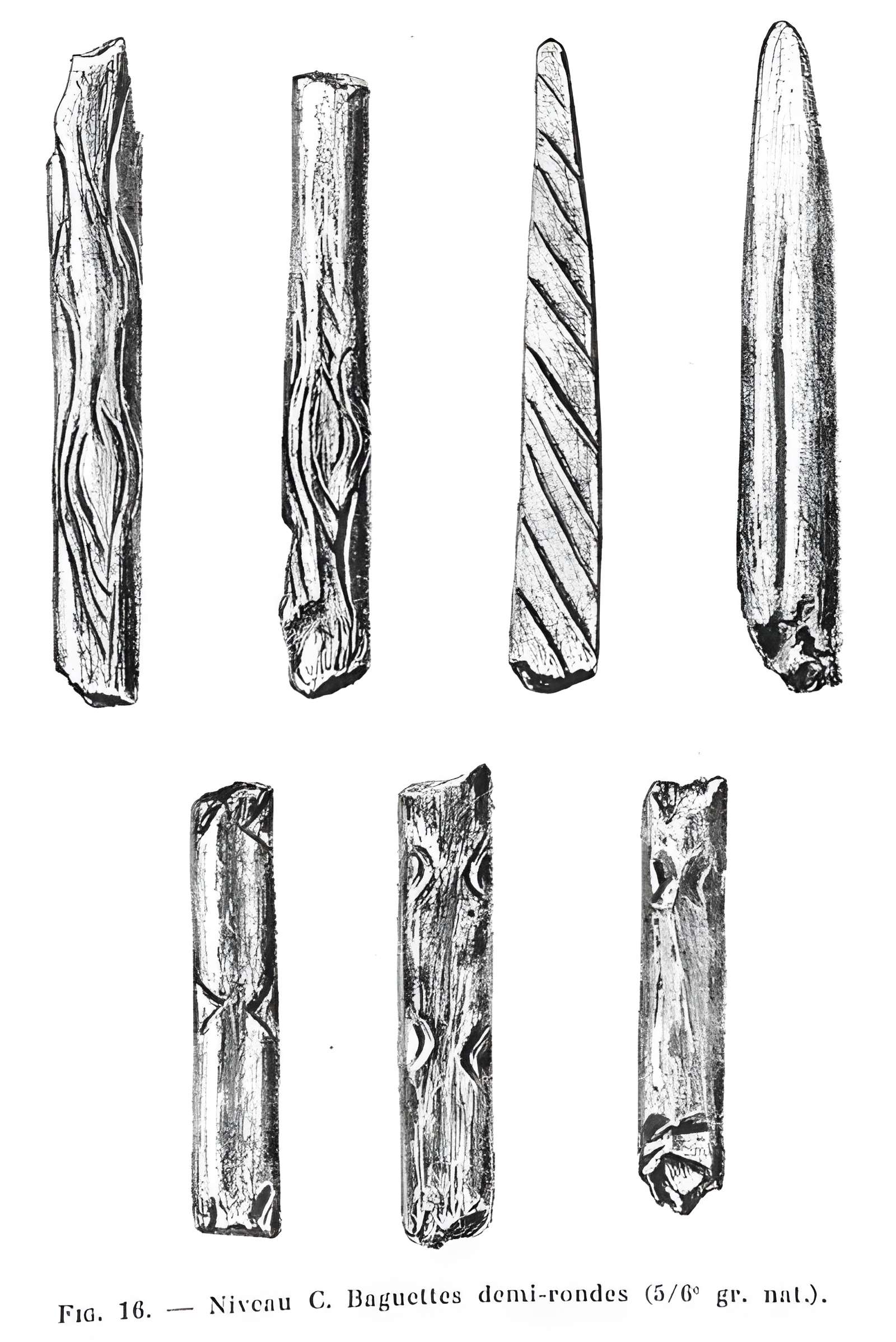 Grottes de la vallée de la Save à Lespugue