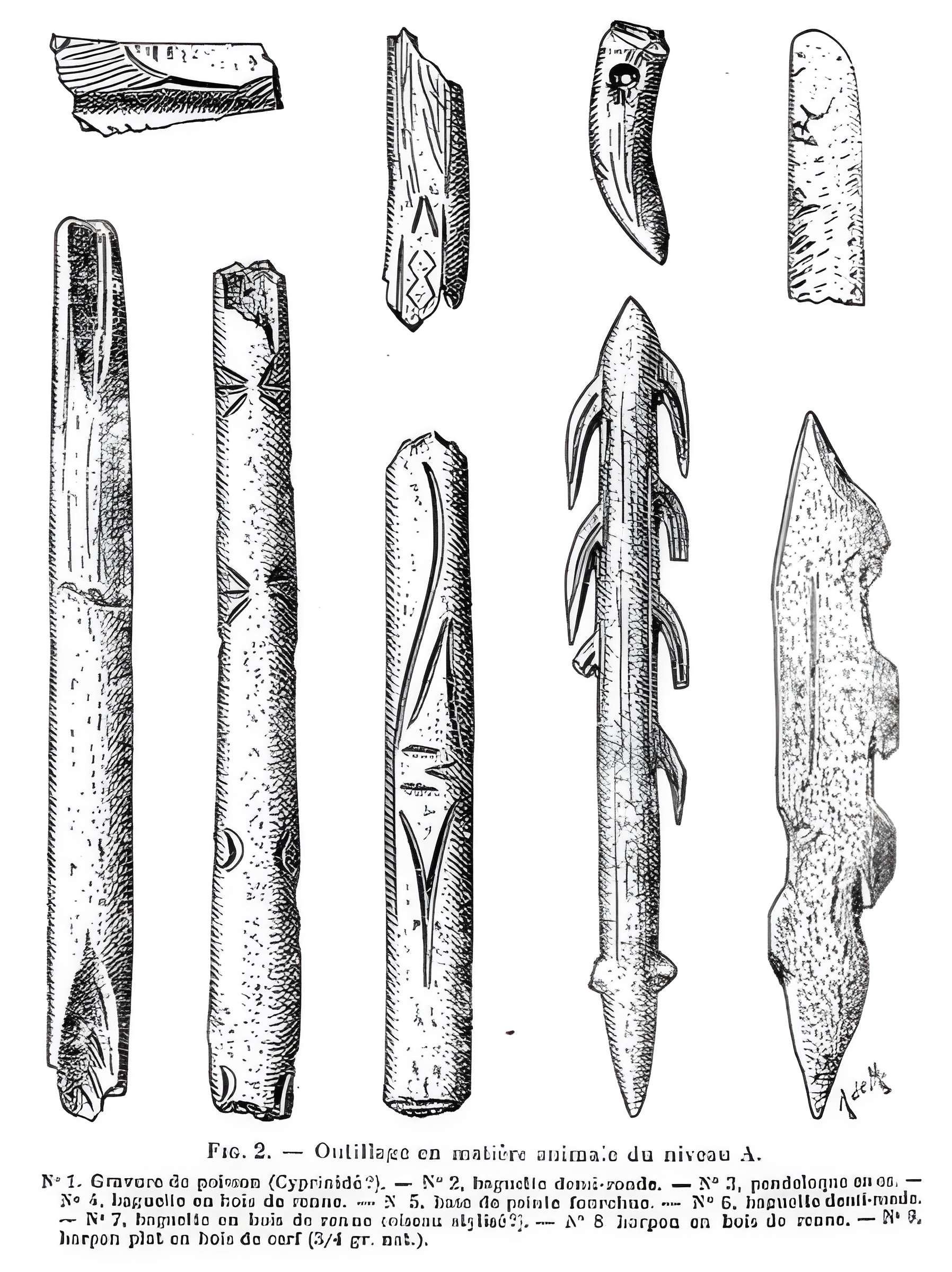 Grottes de la vallée de la Save à Lespugue