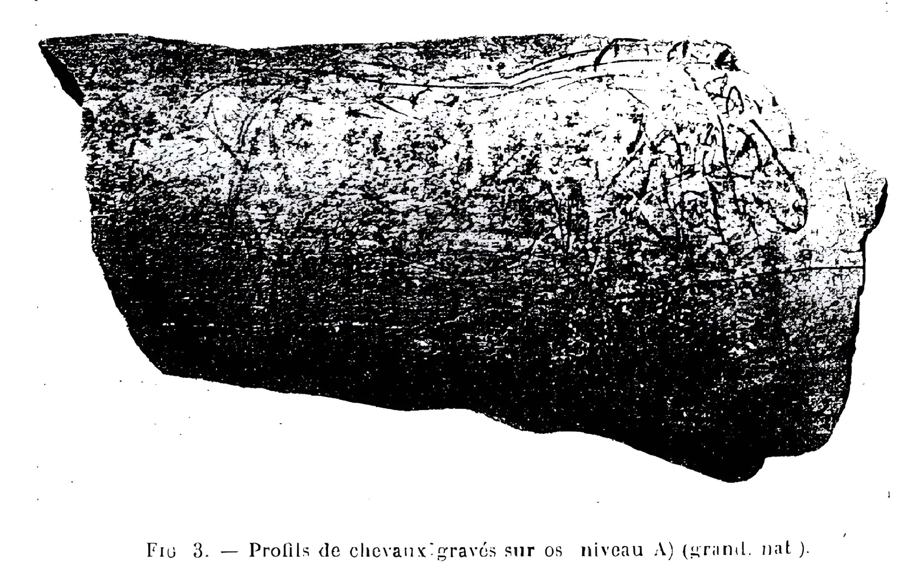 Grottes de la vallée de la Save à Lespugue