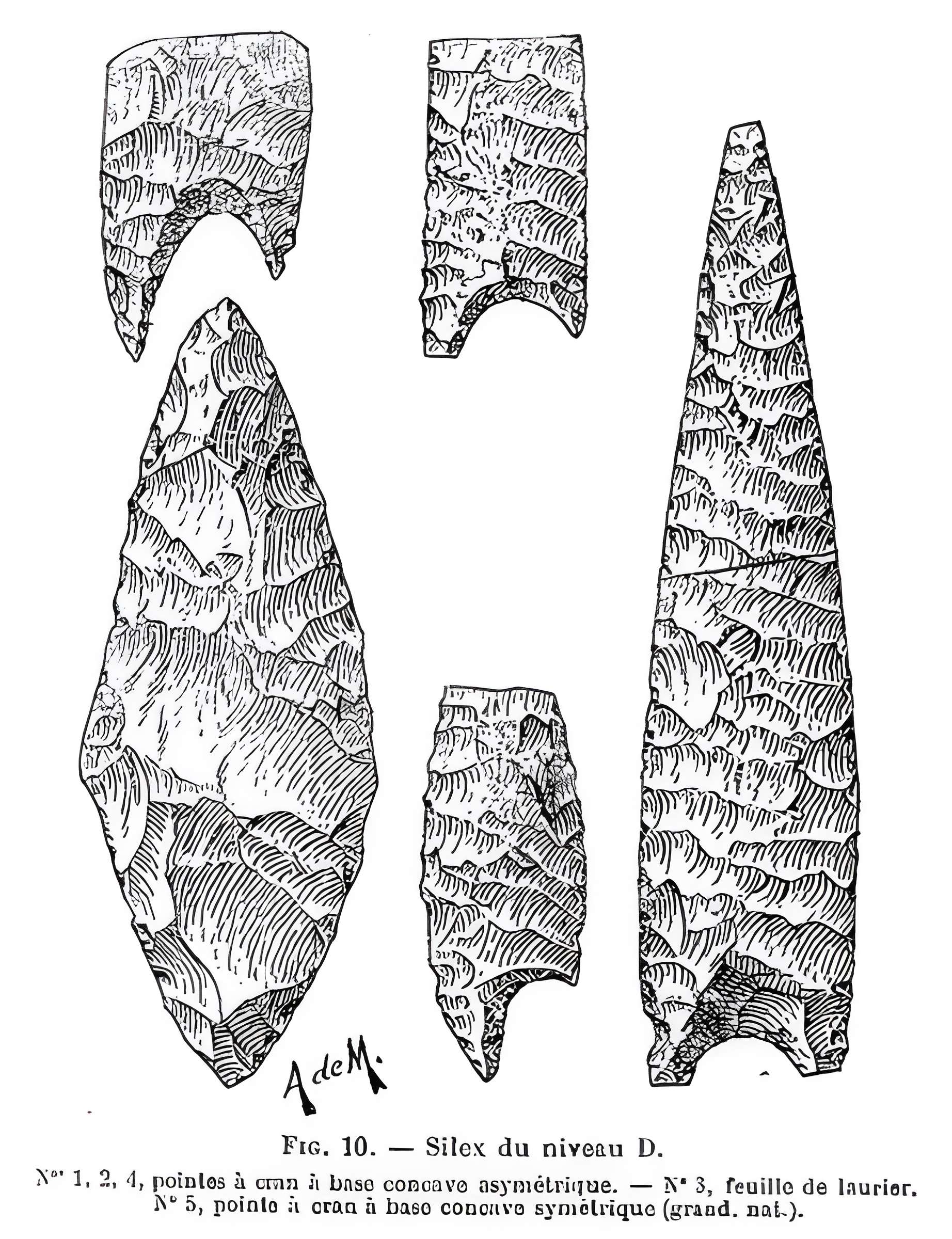 Grottes de la vallée de la Save à Lespugue