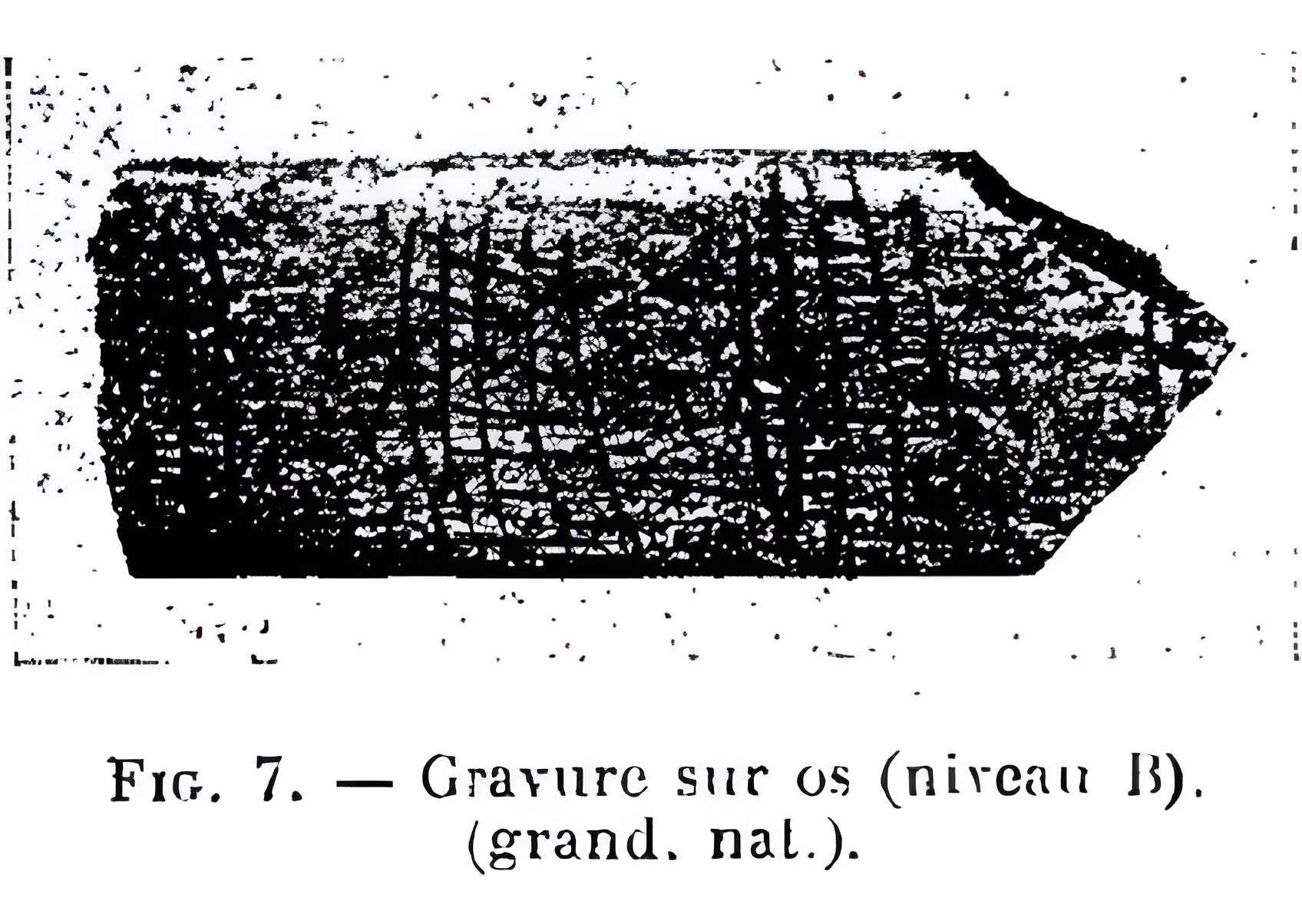 Grottes de la vallée de la Save à Lespugue