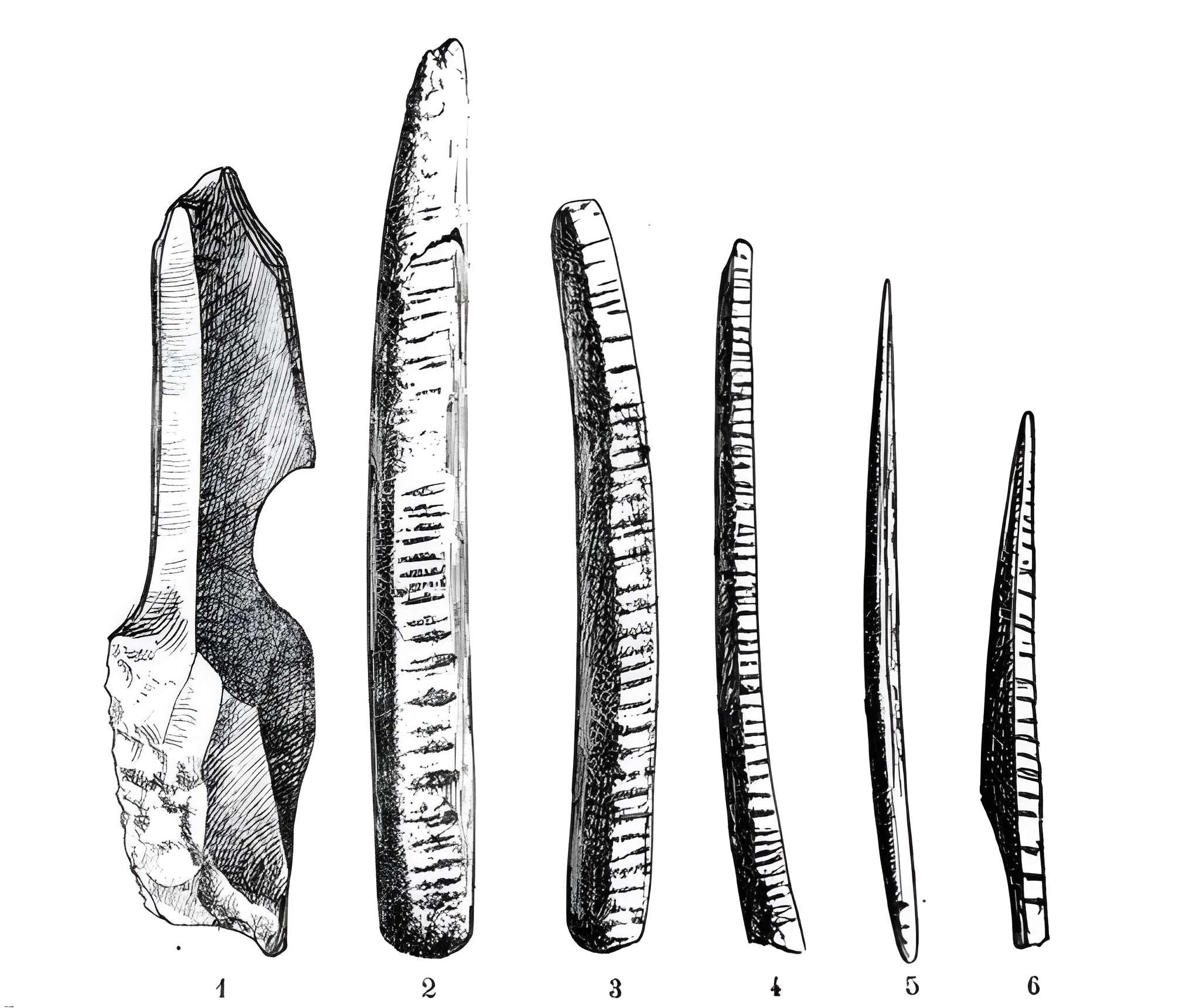 Grottes de la vallée de la Save à Lespugue