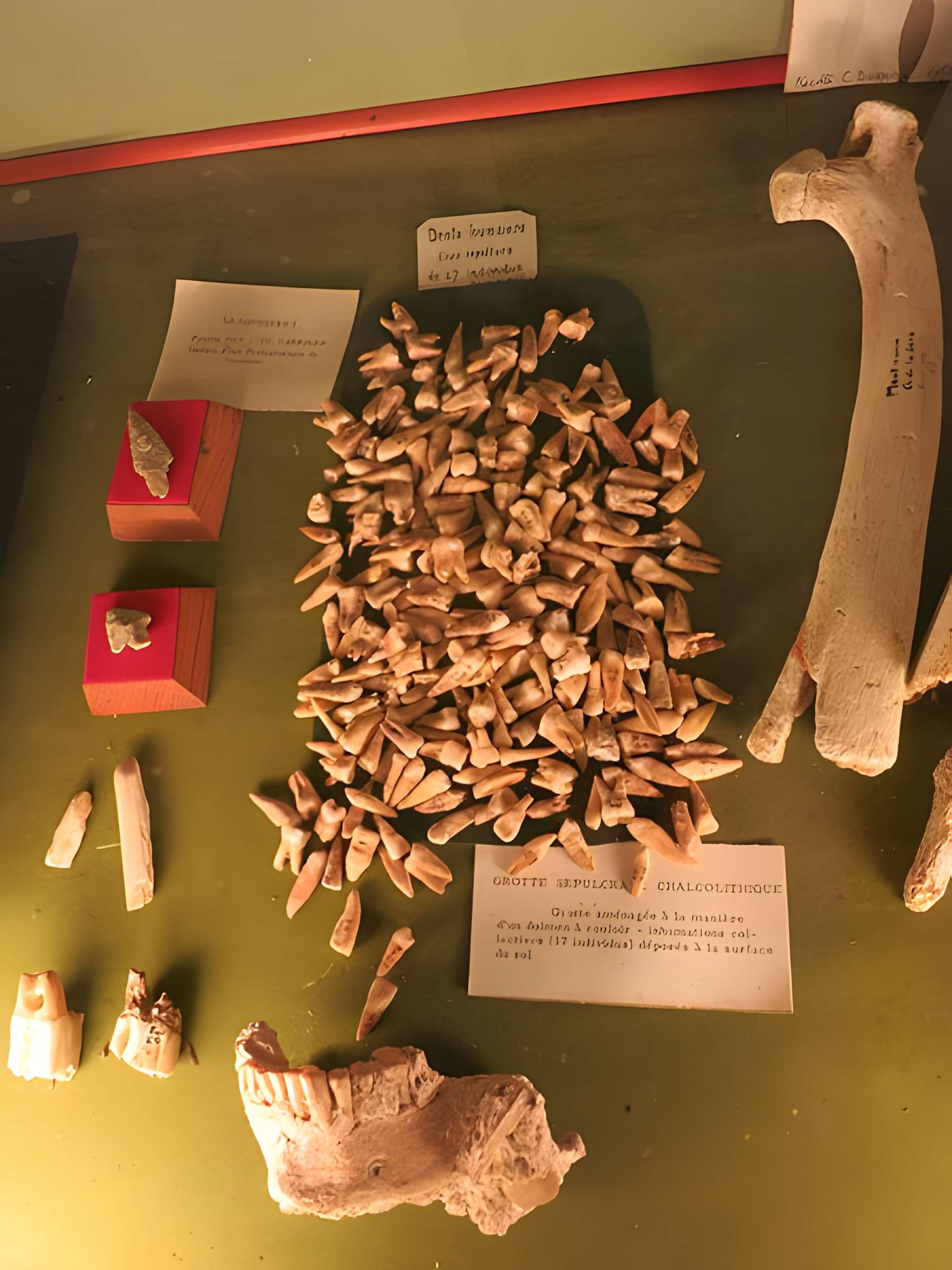 Grottes de la vallée de la Save à Lespugue