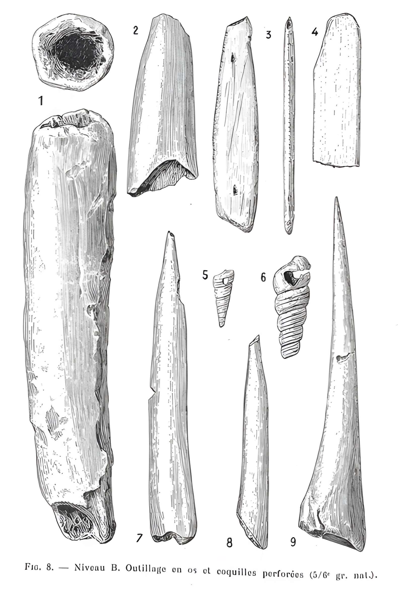 Grottes de la vallée de la Save à Lespugue